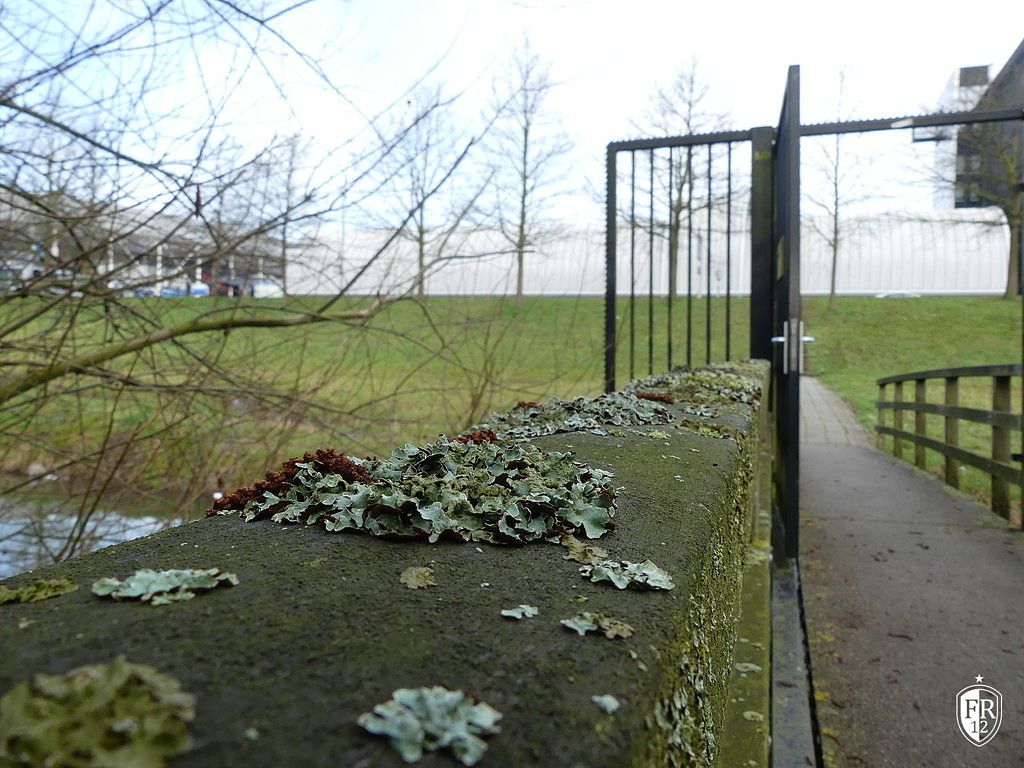 woensdagochtend training