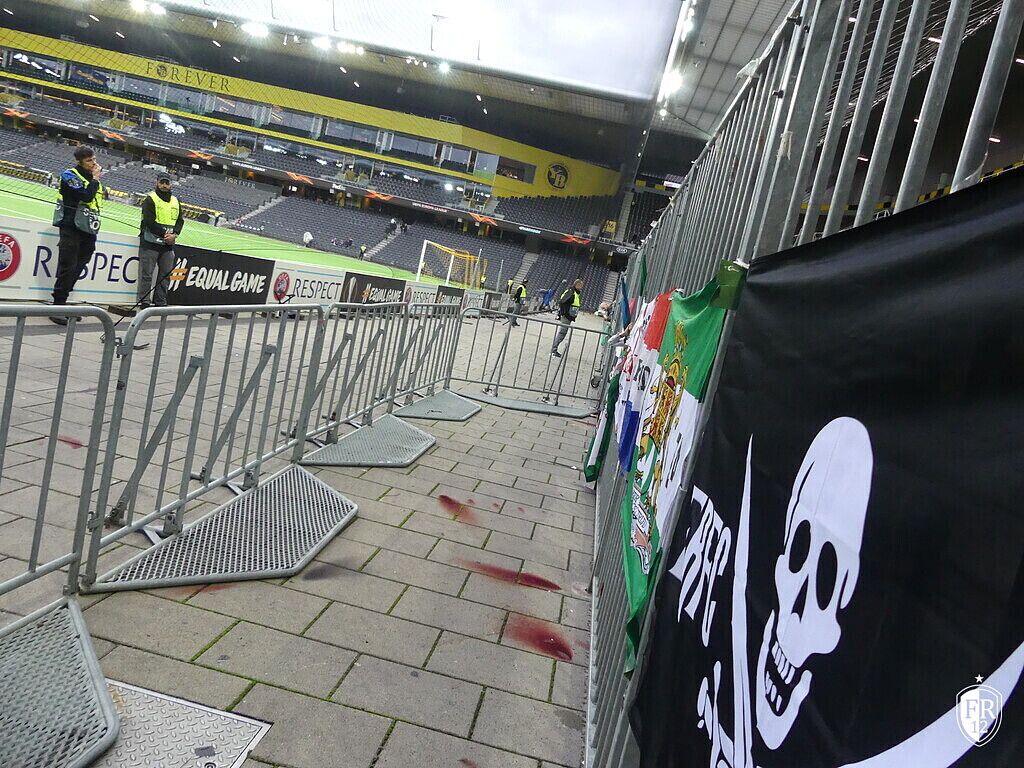 BSC Young Boys - Feyenoord
