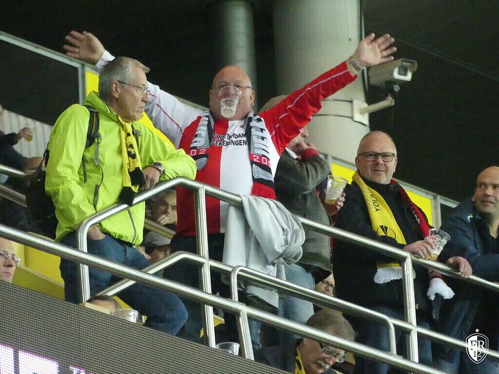 BSC Young Boys - Feyenoord