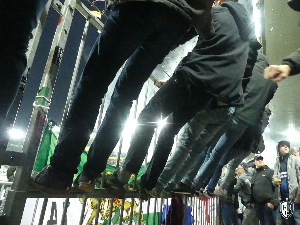 BSC Young Boys - Feyenoord