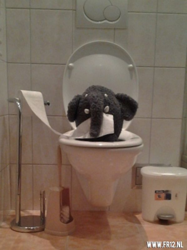 Vakantie foto 2013