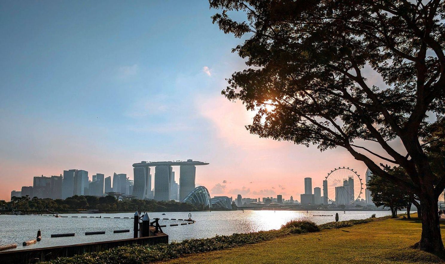 8c39636d 8e06 45ed 88ec de05b7d3f3c5