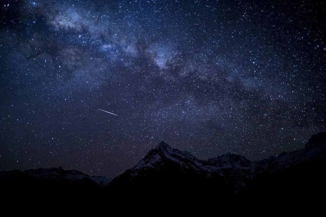 How To Utilize Your Smartphone Camera and Take The Best Photos