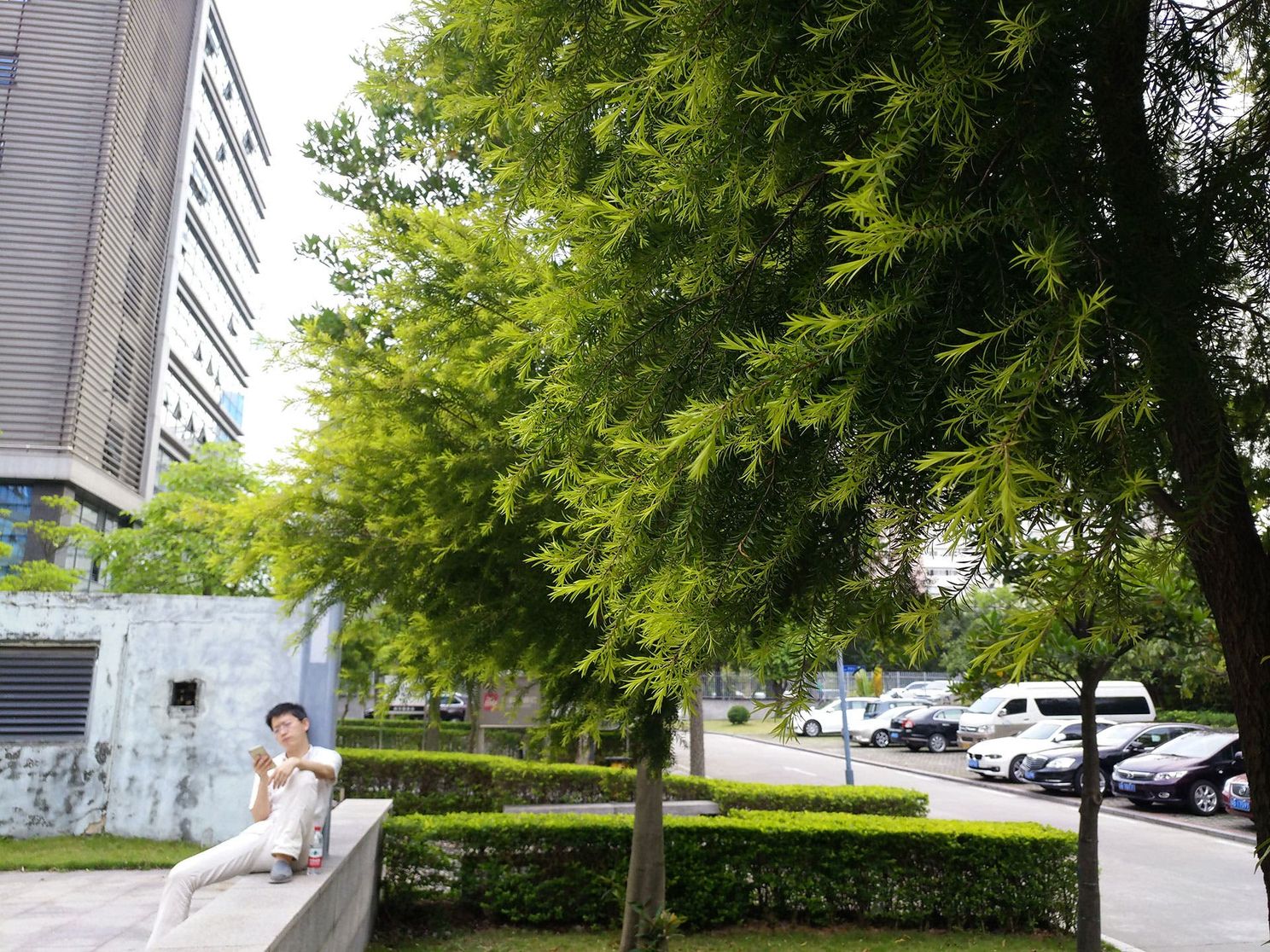 Watch: Ulefone Power 2 Official Camera Test & Samples