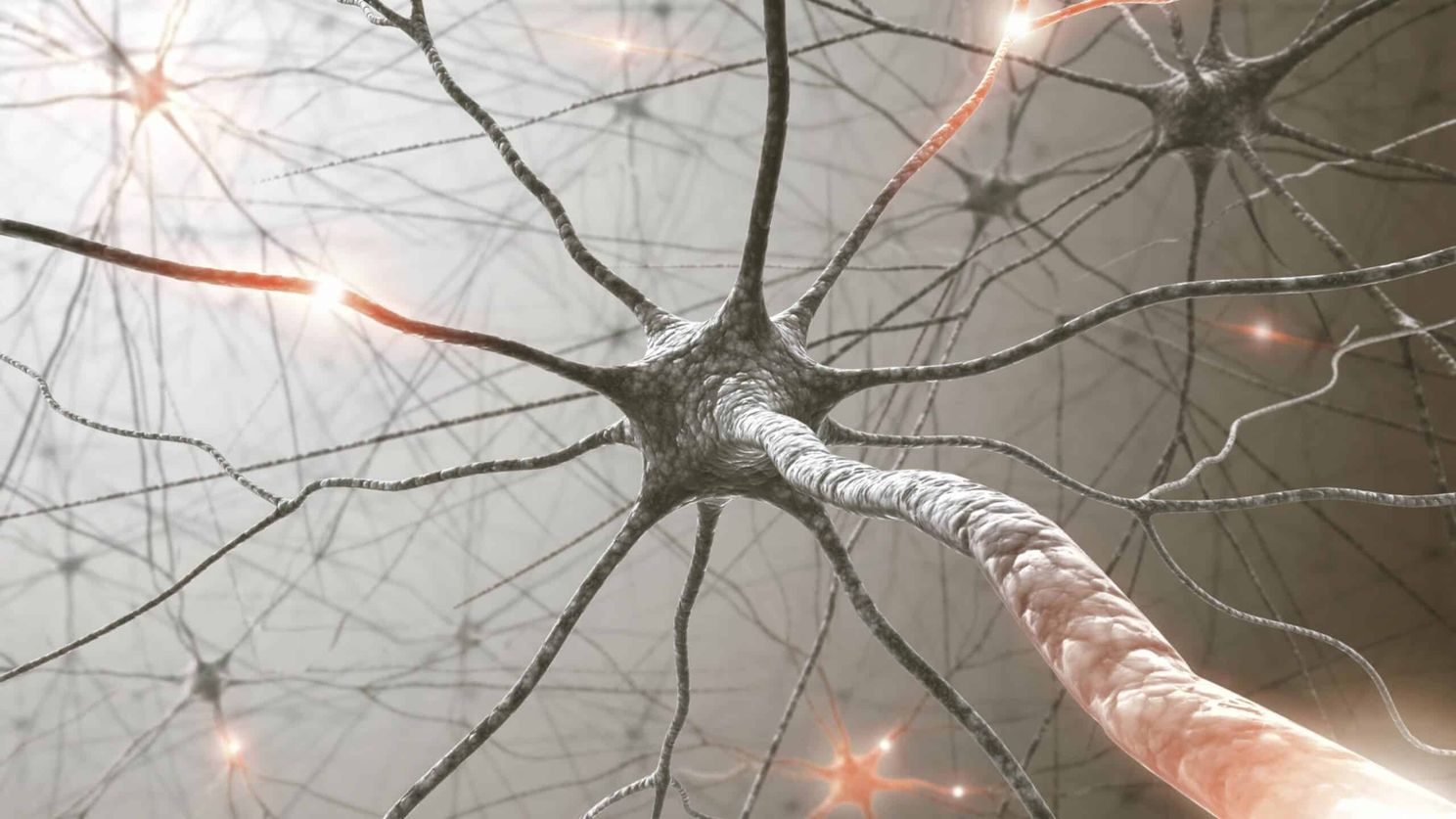 How To Do Business On Stem Cell Biology