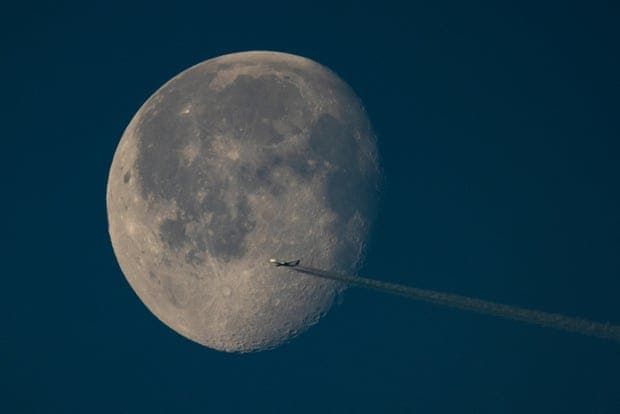 Photograph: Dan Kitwood/Getty Images
