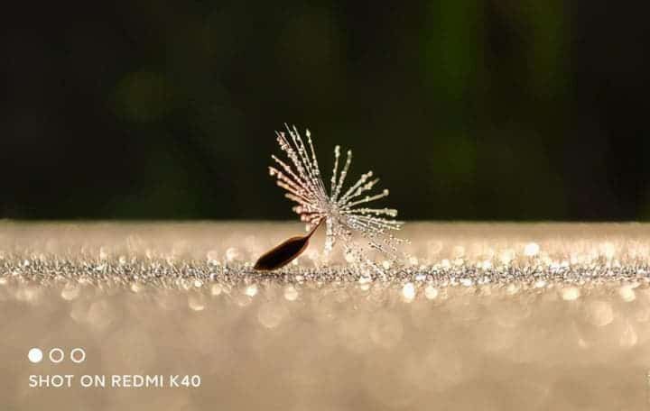 8 Advantages of Redmi K40 Pro+ Camera: Is It A Real Camera Phone Or A Gimmick?