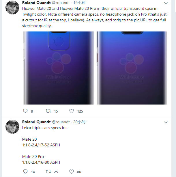 Huawei Mate 20/Pro differences exposed