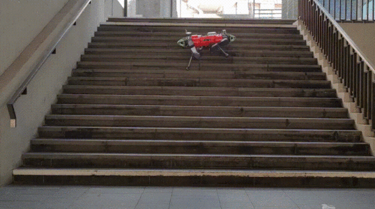 ANYmal climbing stairs