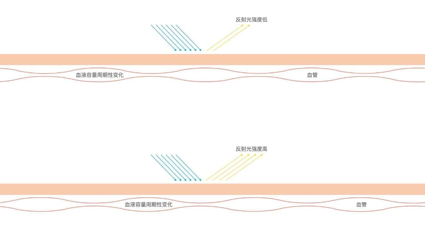 Xiaomi Mi 11 measures heart rate more accurately than a smartwatch