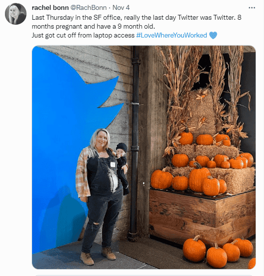 Elon Musk mercilessly sacks vulnerable Twitter employees