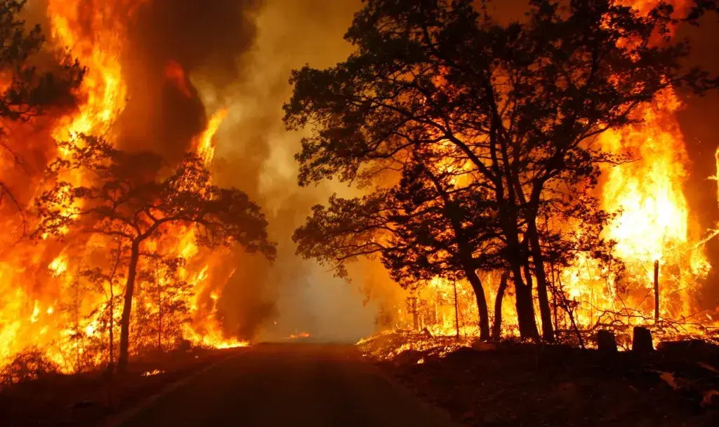 How to ensure emergency communication after a major disaster