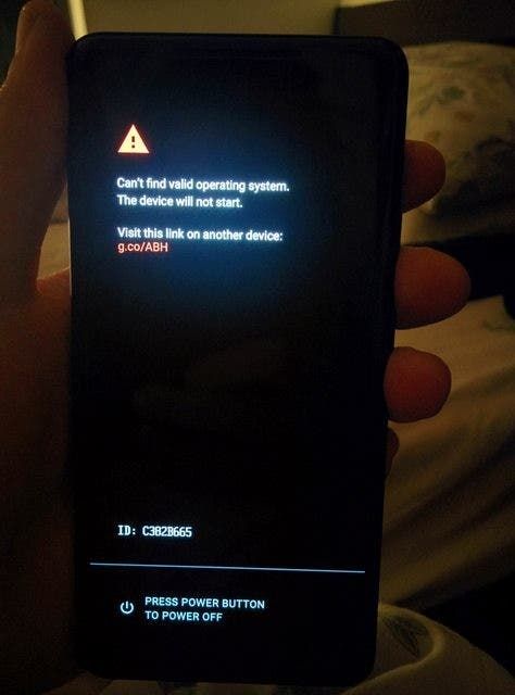 How about getting a Pixel 2 XL without an operating system? That's happening