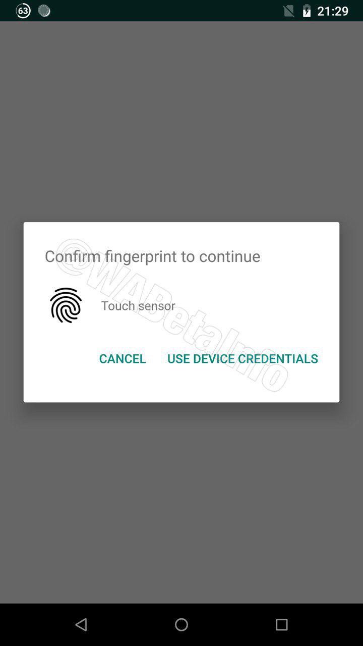 WhatsApp prepares to receive fingerprint authentication