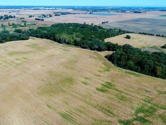 Foxconn Proposed US Plant Makes Farmers Millionaires Overnight