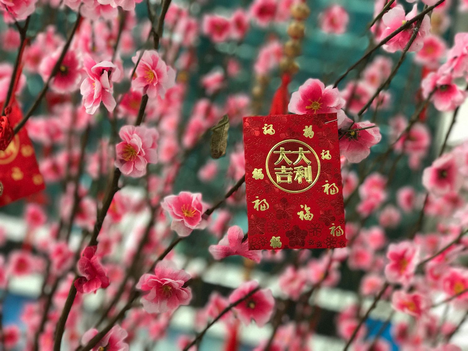 Ulefone Gemini Dual Camera Photo Samples
