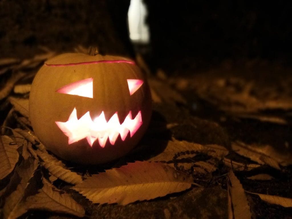Xiaomi Redmi Pro Photo Samples