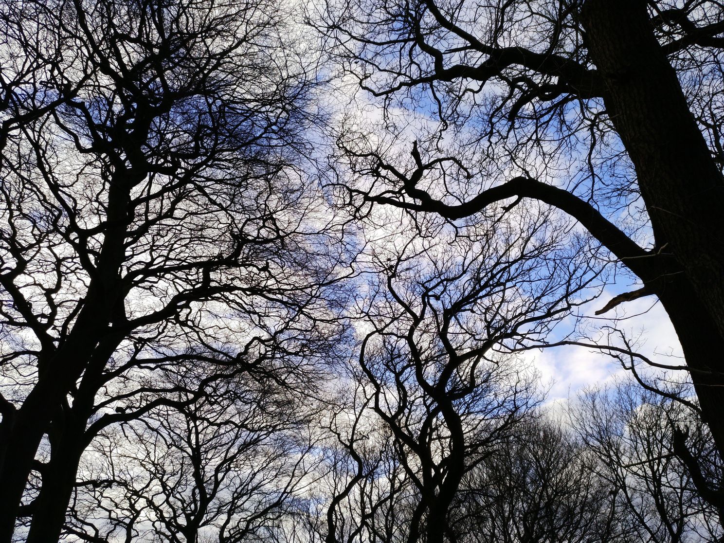Nubia Z11 Camera Samples