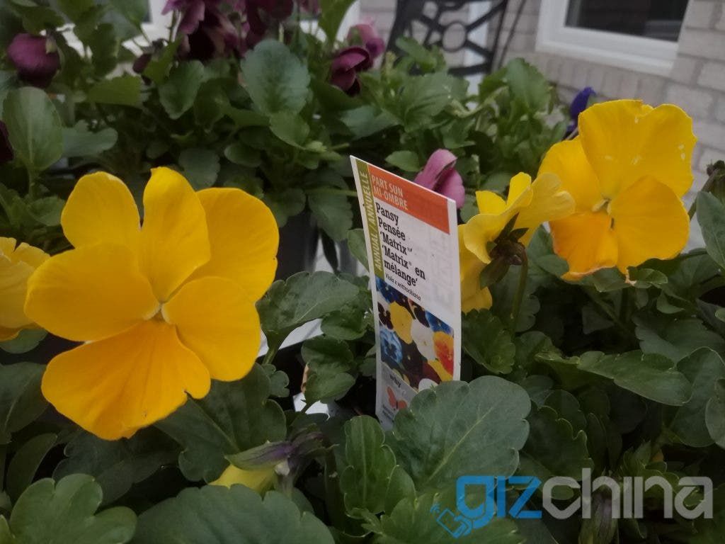 Xiaomi Mi Pad 3 Review - Not fully baked yet