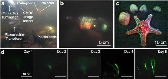 MIT underwater camera without battery works wirelessly