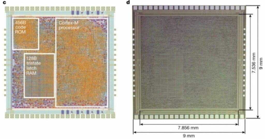 ARM has succesfully developed a chip made out of plastic