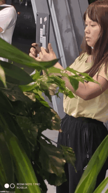 Realme Pad Leaks In Live Images, Revealing Some Key Specs Ahead Of Launch