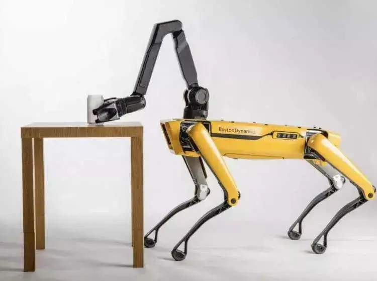 Do we really need human-like robots?