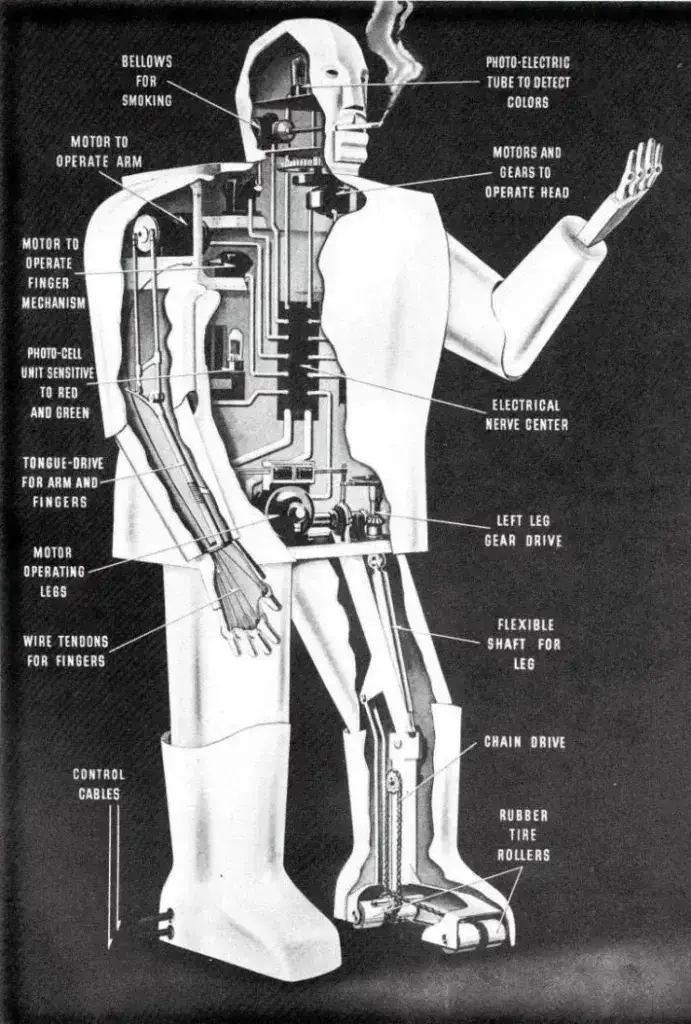 Do we really need human-like robots?
