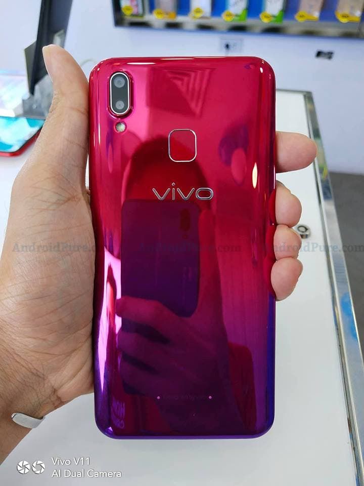 Vivo Y95 is official with a big battery and affordable price