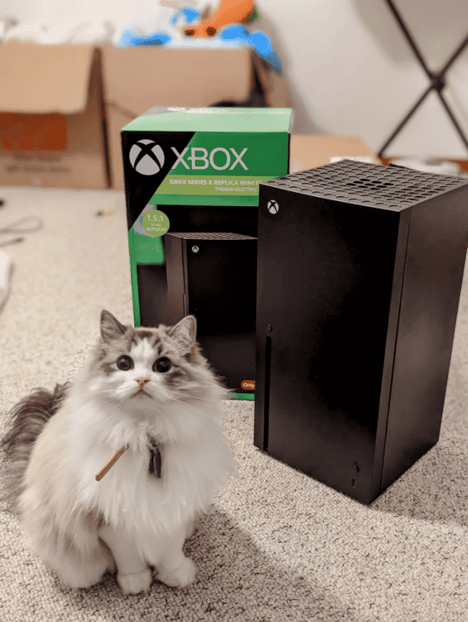 Microsoft Xbox Series X mini-refrigerator commences sales in advance