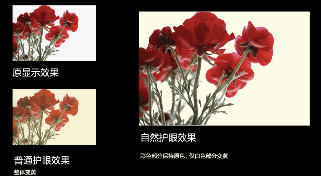 Xiaomi 12 Pro announced two exclusive technologies