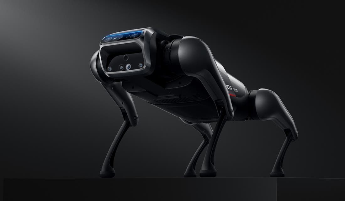 Xiaomi CyberDog has been introduced: a robot dog for only $ 1500