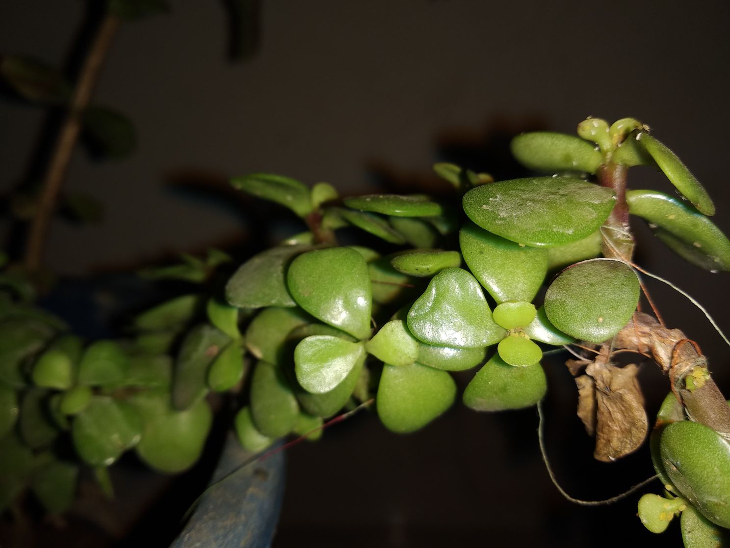 Camera Samples (Image & Video) Of Xiaomi Redmi Note 5 Looks Good