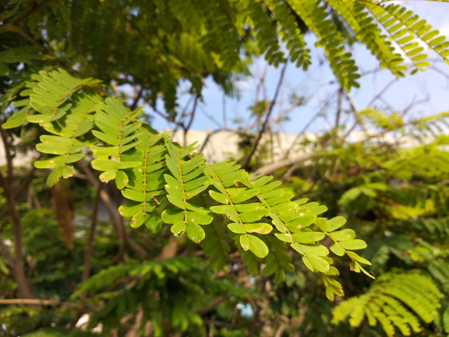 Camera Samples (Image & Video) Of Xiaomi Redmi Note 5 Looks Good