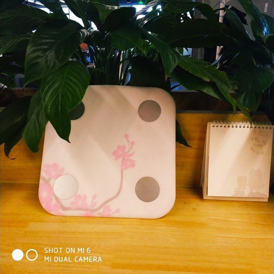 Xiaomi Smart Fat Body Scale Customized Version