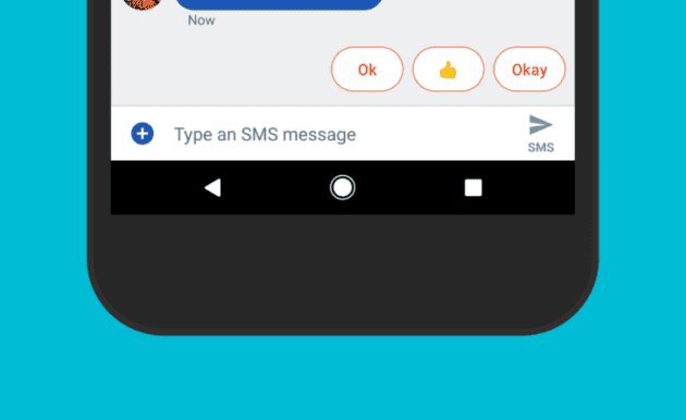 With Android Q the RCS standard should be supported by third-party apps