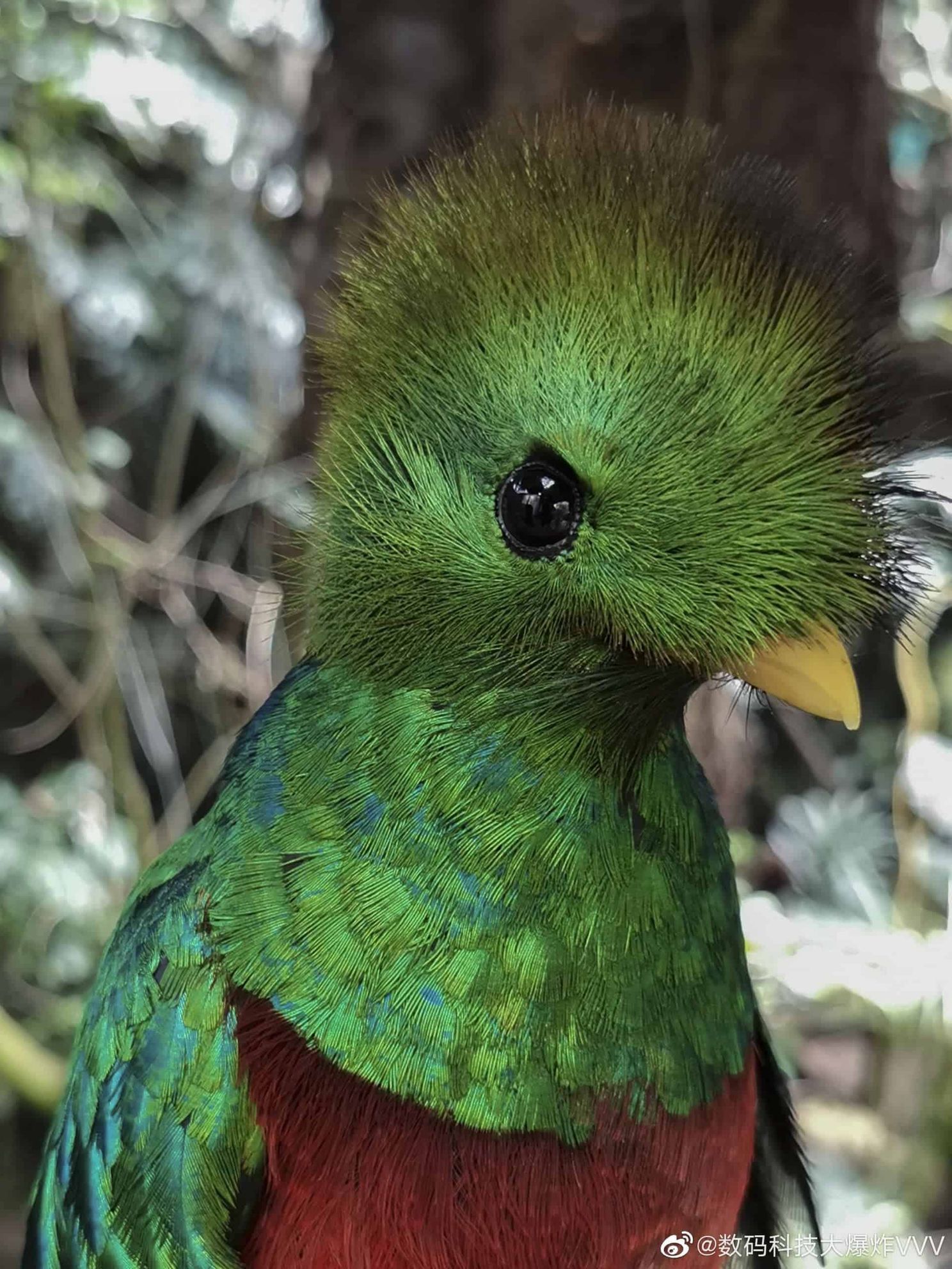 This is the first photo taken with the Huawei P40