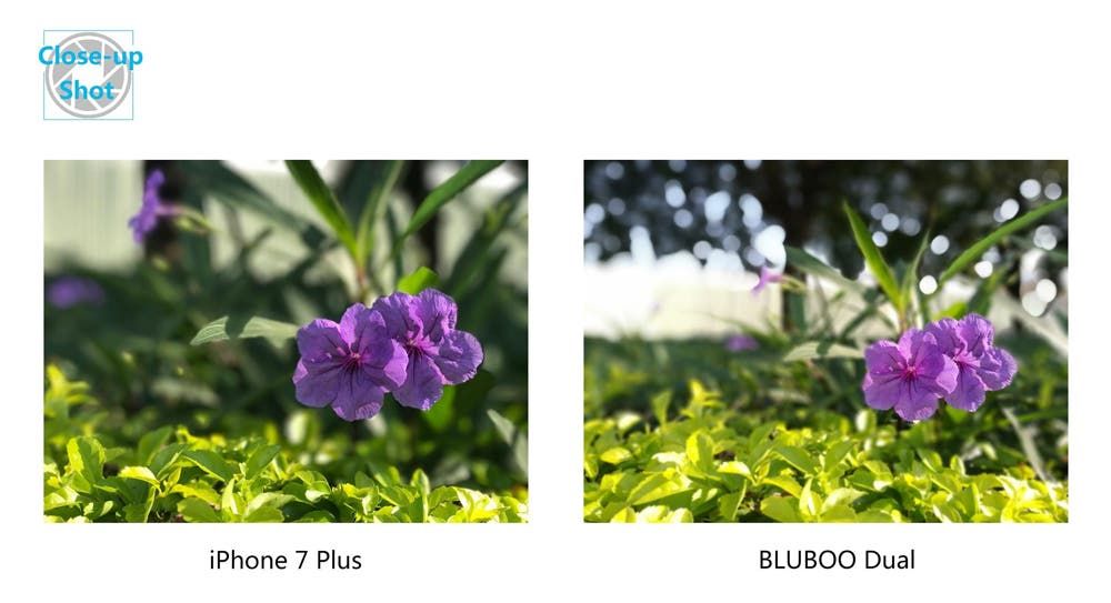 First Bluboo Dual photo samples released
