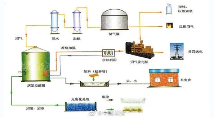 China generates commercial electricity from cow dung