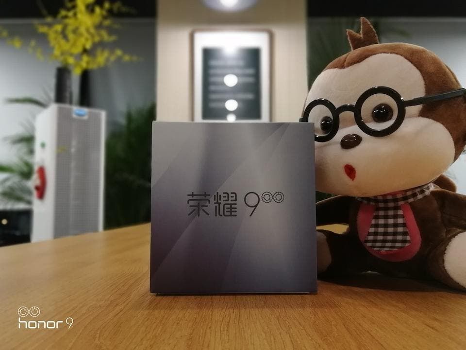 Honor 9 dual camera photo leaks before its official launch