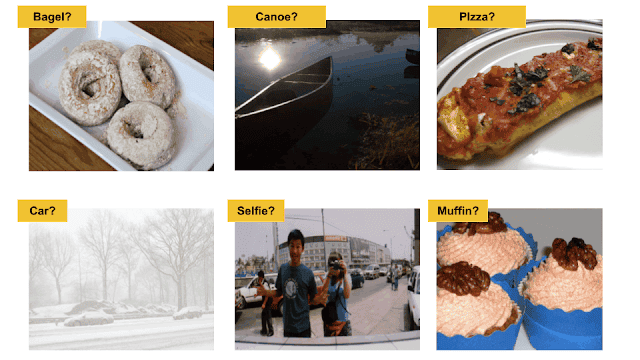 Google Starts New Project (CATS4ML) For Better Object Recognition