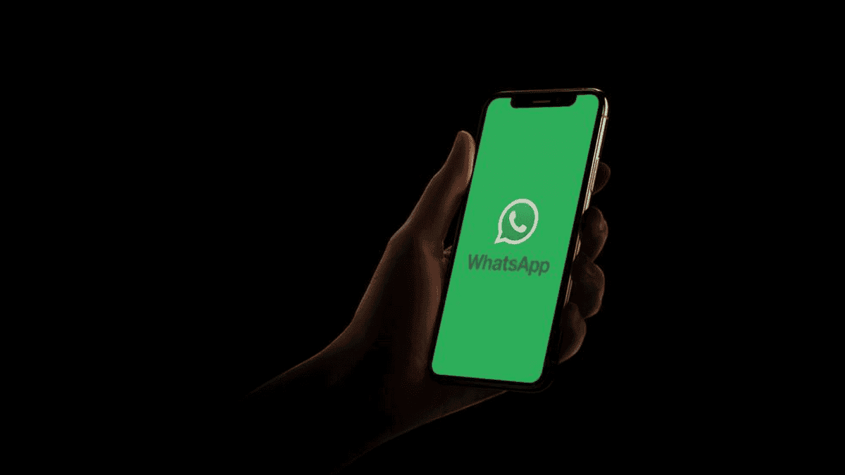 How to backup all WhatsApp data on Android and iPhone