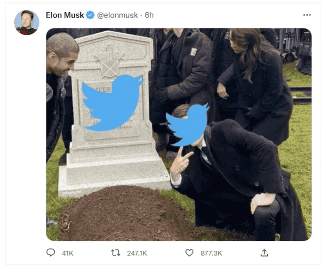 Elon Musk orders Twitter to remove suicide prevention feature