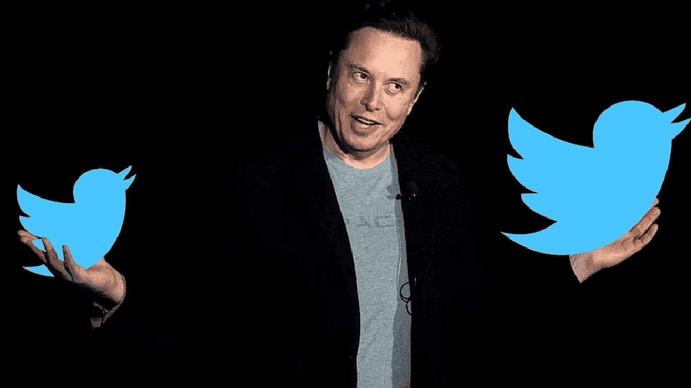 Elon Musk says child protection is a "top priority" but the team in charge has just one staff