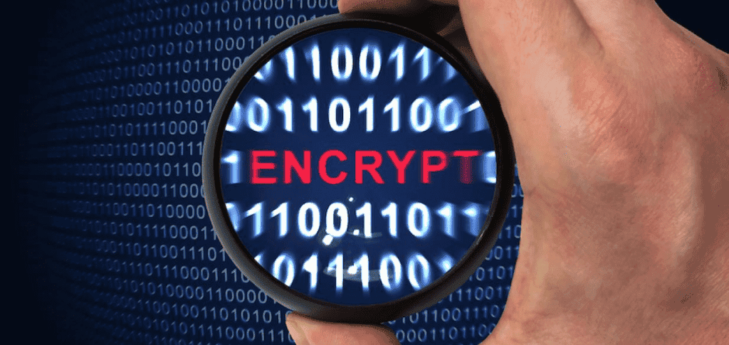 Twitter DMs to support encryption, voice messages and video calls