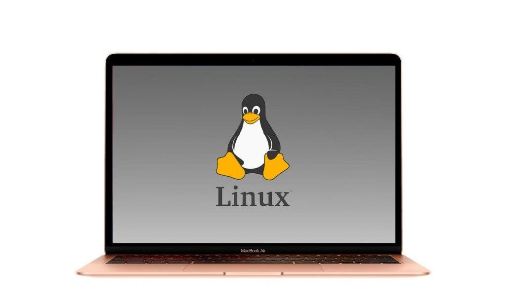 A popular developer wants to port Linux to Apple M1 MacBook