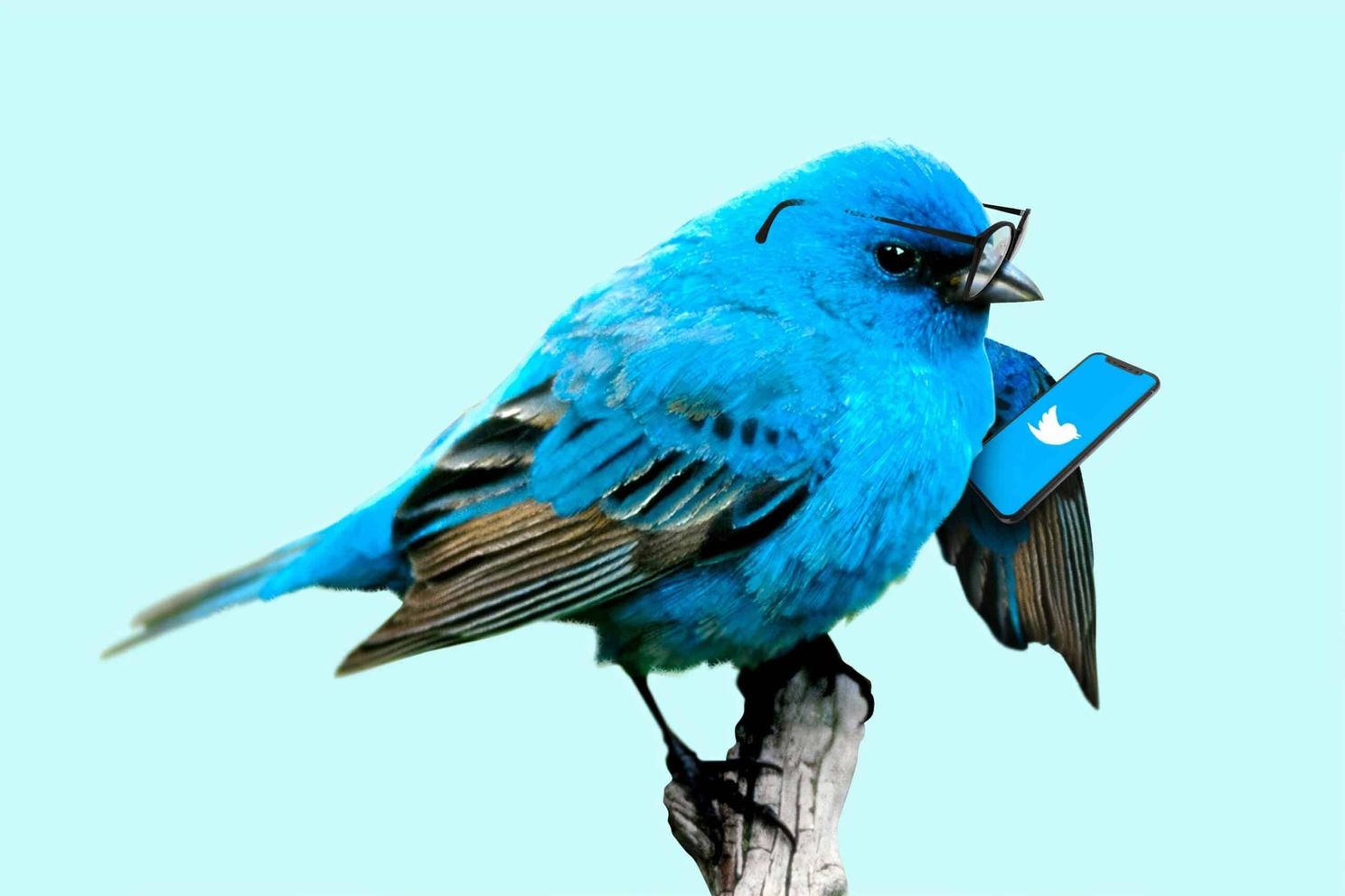 Elon Musk Will Buy Twitter Under One Condition