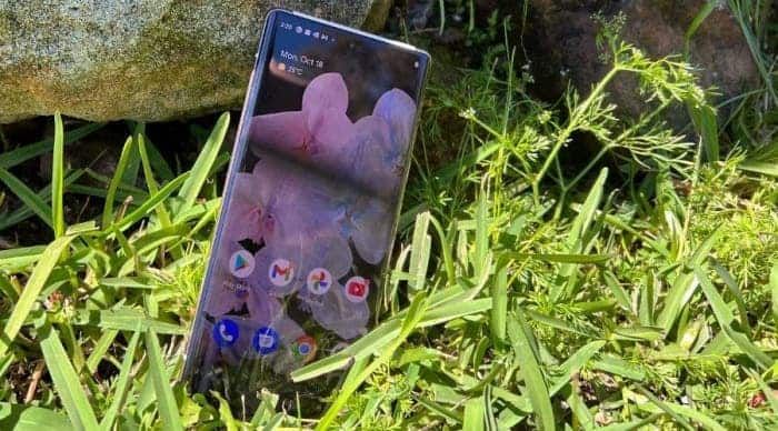 Google Pixel 6 and Pixel 6 Pro live photos leaked