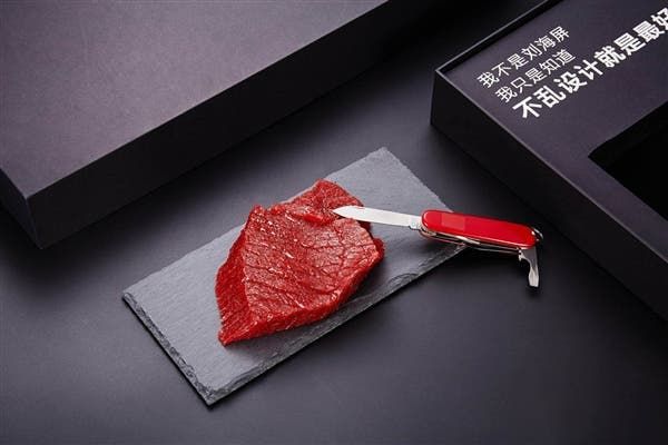 Meizu 16 Conference Invitation Letter Looks Odd