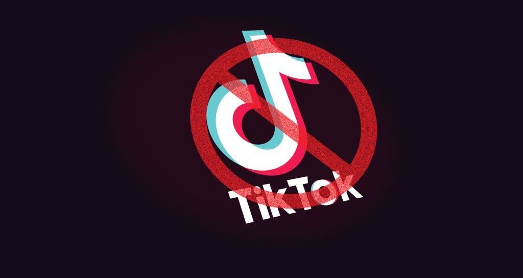 This Maybe the Reason Why Trump Bans TikTok and WeChat in the U.S!